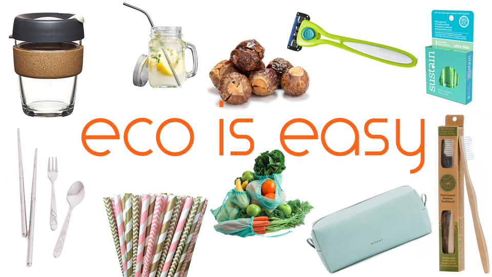 Easy Eco Changes That Everyone Can Make That Are Great for The Planet ...